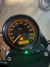 IMG_7317.jpeg