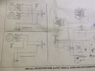 IMG_3768.jpeg