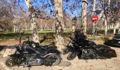 IMG_7166.jpeg