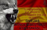 calavera 4.jpeg
