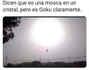 1709277536258.jpeg