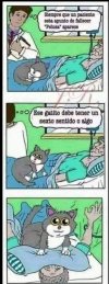 1709500251166.jpeg