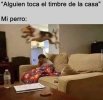 1709827227222.jpeg
