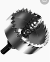 Screenshot 2024-04-04 at 12-07-27 broca corona - Buscar con Google.png