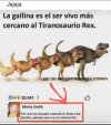 IMG_0208.jpeg