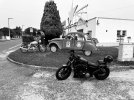 IMG_2377.jpeg