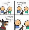 images (10).jpeg