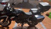 IMG_1943.jpeg