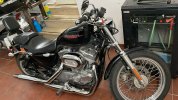 harley_883.jpg