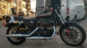 Harley!.jpeg
