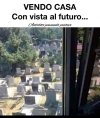 IMG_20240722_201735.jpg