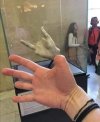 IMG_20240806_112054.jpg