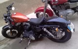 IMAG0461.webp