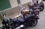 IMAG0464.webp
