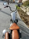 alf1.webp