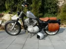alf2.webp