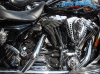 DSC04675.gif