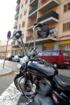 DSC_0227.webp