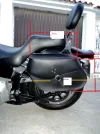 DSC02950.webp