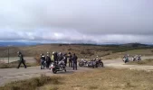 El Toro_a.webp