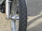 CIMG7053.webp