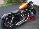 DSC02145h.webp