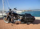 DSC00350.webp