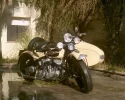 Harley1baja.webp