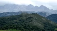 41687389.webp