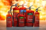 1733953481323.webp