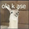 Screenshot 2024-11-27 at 23-23-57 ola k ase - Buscar con Google.webp