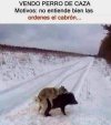 FVdFq70WIAUU0U0.jpg