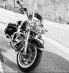 Gallery_1742393428518.jpg