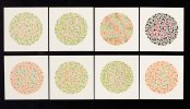 test-de-Ishihara.jpg