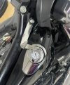 IMG_3250.jpeg