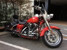 Road King.jpg