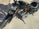Harley 09.JPEG