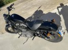 Harley 06.JPEG