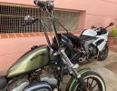 IMG_5931.jpeg
