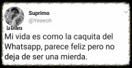 FB_IMG_1743943597337.jpg