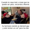 FB_IMG_1744885386609.jpg