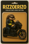 erizo foro.png