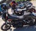IMG_20250427_095034.jpg