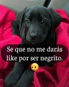 IMG_7521.jpeg