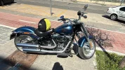 HARLEY (1).webp