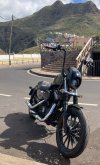 IMG_7909.jpeg