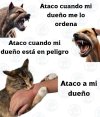 FB_IMG_1748021785221.jpg