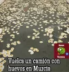 Sin título.webp