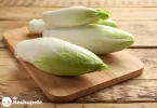 Endivias-2-1200x828.webp