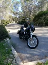Dyna.webp